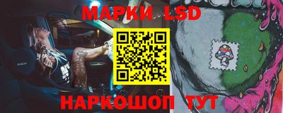 гидропоника Камышлов