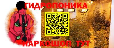 прущая мука Кандалакша