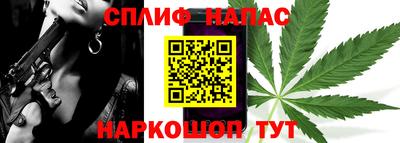 гидропоника Камышлов