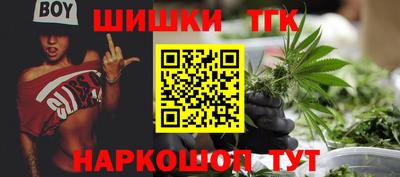 гидропоника Камышлов