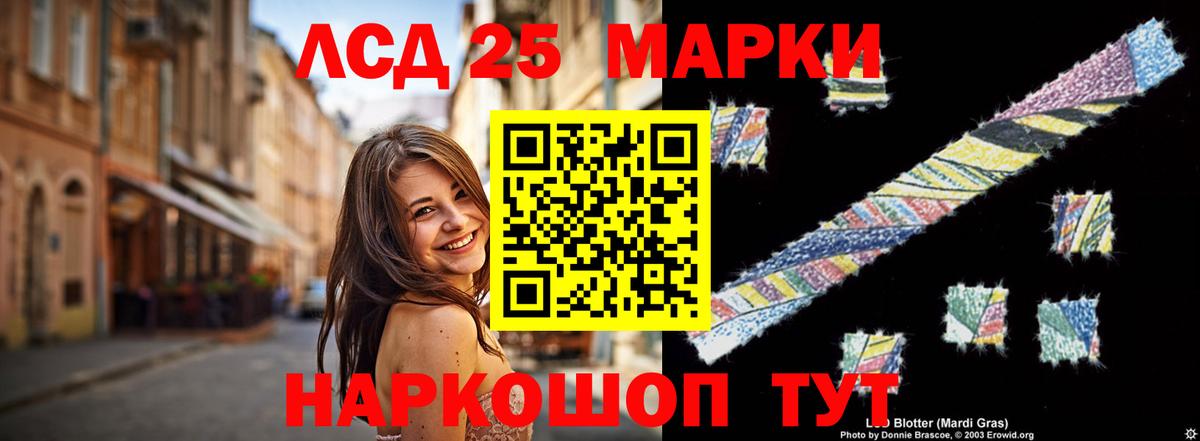 Курчатов  hydra tor  Вход с VPN  Лсд 25 экстази кислота  ЛСД экстази кислота 