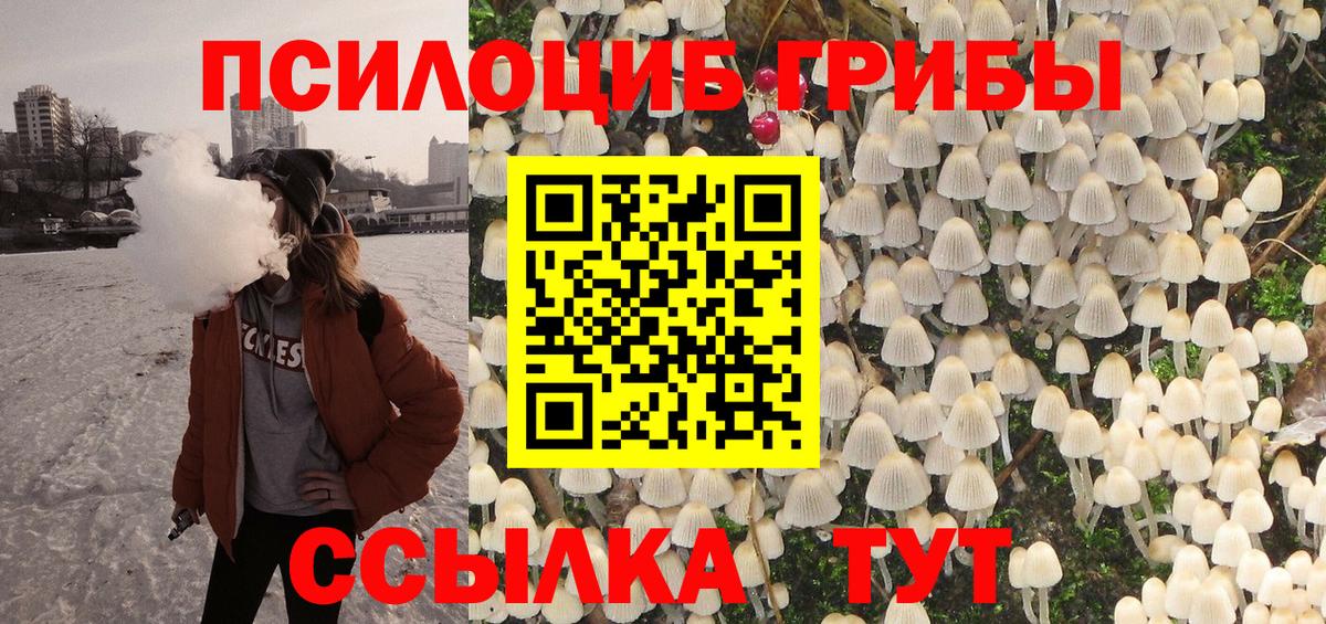 Псилоцибиновые грибы мицелий Курчатов