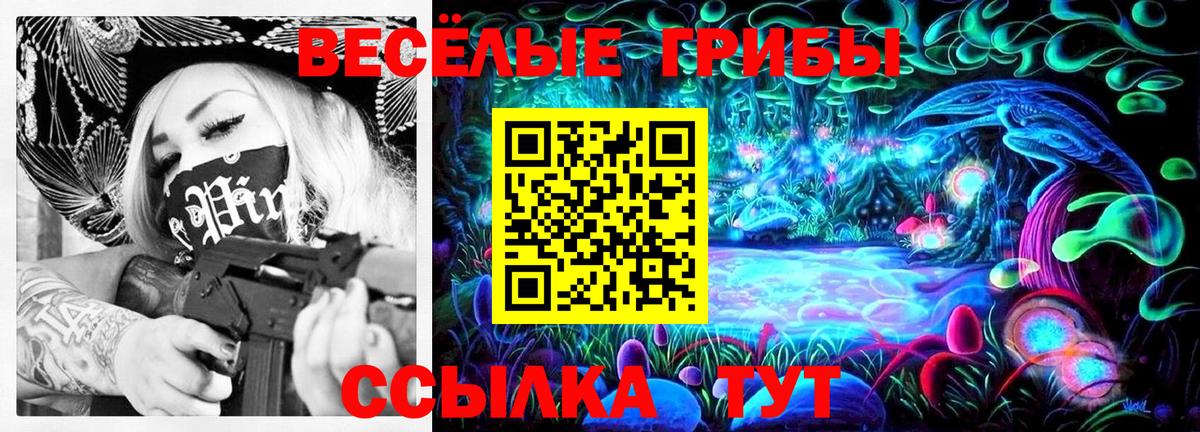 Курчатов  Псилоцибиновые грибы Psilocybine cubensis  Вход с VPN 